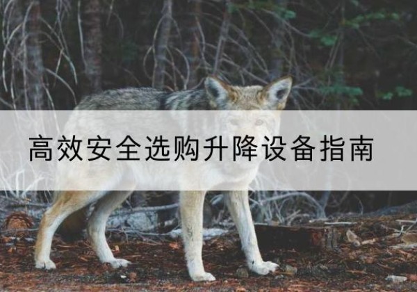 杭州升降货梯厂家推荐-*安全选购升降设备指南