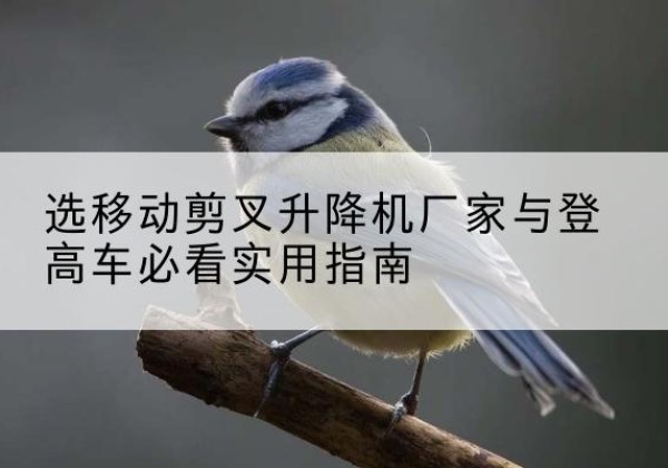 杭州电动升降机厂家-选移动剪叉升降机厂家与登高车必看实用指南